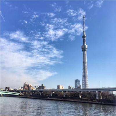 仙元传说变态版下载